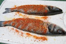 4-fische-in-sonne-jpg.1488532.jpg 4-fische-in-sonne-jpg.1488532.jpg