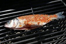 6-auf-grill-jpg.1488534.jpg 6-auf-grill-jpg.1488534.jpg