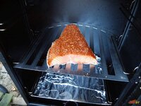 04_Lachs_im_Porti.jpg 04_Lachs_im_Porti.jpg