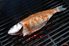 1-fisch-auf-grill-jpg.jpg