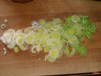 04_in_Ringe_geschnitten.jpg 04_in_Ringe_geschnitten.jpg