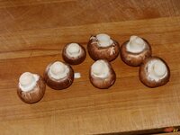 05_Champignons.jpg 05_Champignons.jpg