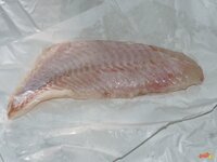 11_Rotbarschfilet.jpg 11_Rotbarschfilet.jpg