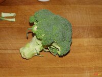 01_Broccoli.jpg 01_Broccoli.jpg