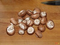 03_Pilze.jpg 03_Pilze.jpg