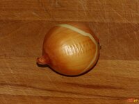 05_Zwiebel.jpg 05_Zwiebel.jpg
