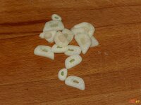 08_kleingeschnitten.jpg 08_kleingeschnitten.jpg