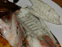 05_Anschnitt.jpg 05_Anschnitt.jpg