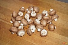 03_Champignons.jpg 03_Champignons.jpg