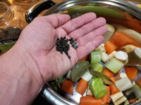 IMG_20211019_091703.jpg IMG_20211019_091703.jpg