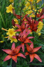 007.JPG