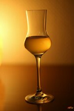 16-limoncello-jpg.jpg