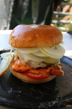 10-burger-jpg.jpg
