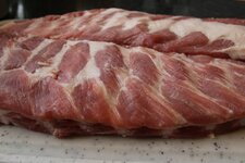 4-ribs-jpg.1462255.jpg 4-ribs-jpg.1462255.jpg