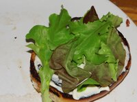 16_Salat.jpg 16_Salat.jpg