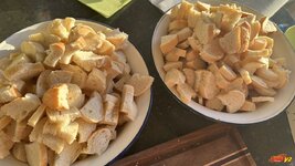IMG_4931.jpeg IMG_4931.jpeg