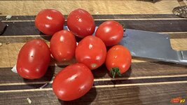 IMG_5299.jpeg IMG_5299.jpeg