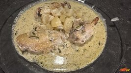 IMG_6173.jpeg IMG_6173.jpeg