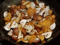 05_Pilze_in_der_Pfanne.jpg 05_Pilze_in_der_Pfanne.jpg
