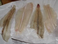 09_Schollenfilet.jpg 09_Schollenfilet.jpg