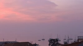 IMG_6729.jpeg IMG_6729.jpeg