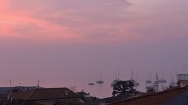 IMG_6730.jpeg IMG_6730.jpeg