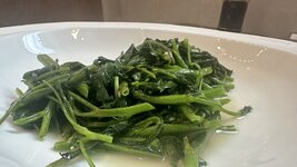 IMG_8337.jpeg