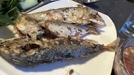 IMG_8759.jpeg