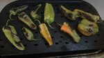 IMG_1422.jpeg