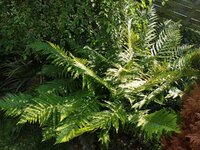 K1600_20170620_161522.JPG