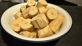 IMG_4814.jpeg