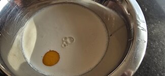 20250406_175209.jpg