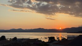IMG_7981.jpeg