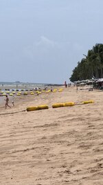 IMG_4377.jpeg