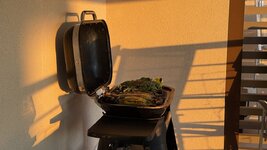 IMG_8686.jpeg