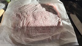 IMG_9459.jpeg