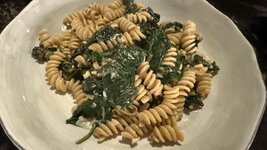 IMG_0062.jpeg