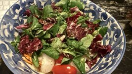IMG_0063.jpeg