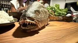 IMG_0189.jpeg