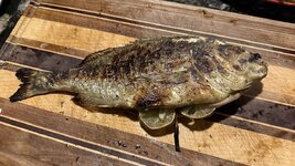 IMG_0198.jpeg