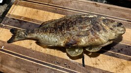 IMG_0199.jpeg