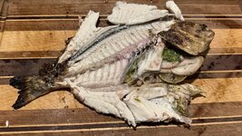 IMG_0200.jpeg