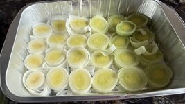 IMG_0457.jpeg