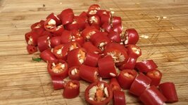 IMG_1740.jpeg