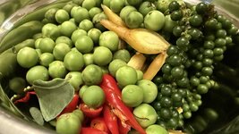 IMG_1745.jpeg