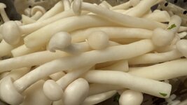 IMG_1754.jpeg