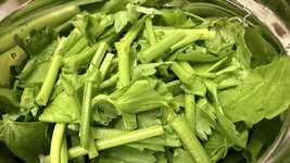 IMG_1753.jpeg