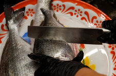 DSC00007 - 26. Januar 2026.jpg