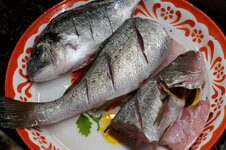 DSC00008 - 26. Januar 2026.jpg