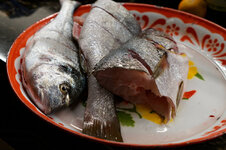 DSC00013 - 26. Januar 2026.jpg